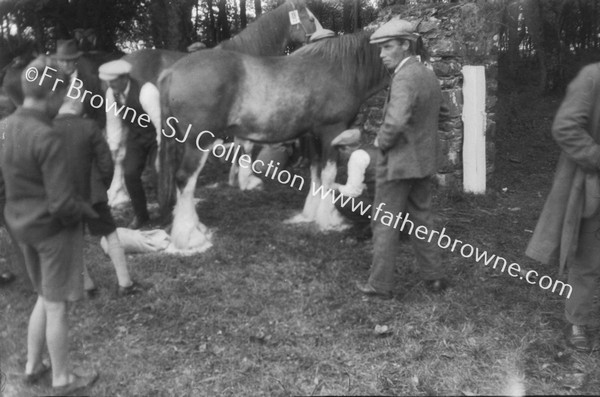 THE FINAL TOILET (HORSES)